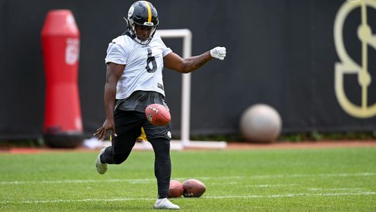 Steelers 2023 positional preview: Consistency needed on special teams taken on the South Side (Steelers)